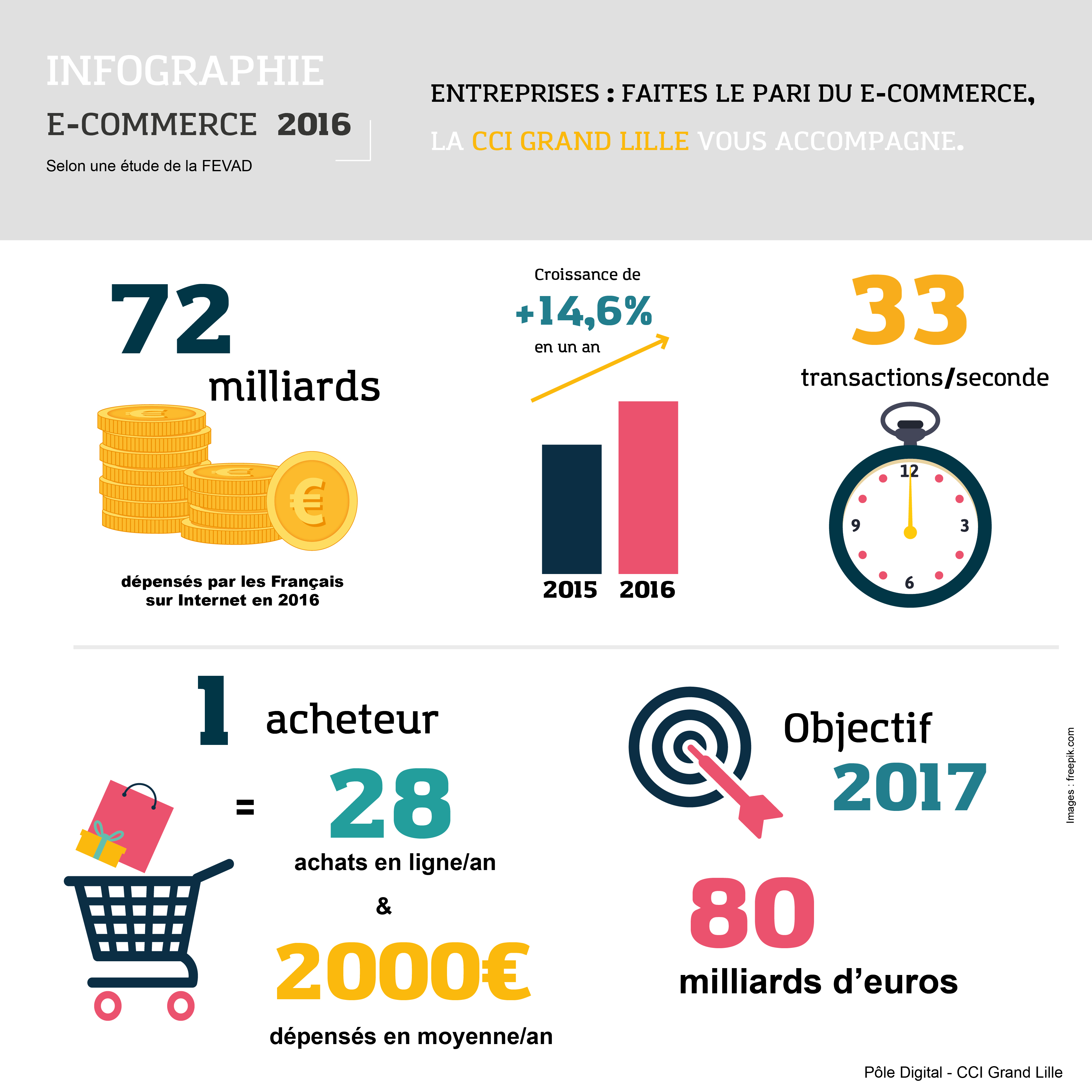 Infographie ecommerce