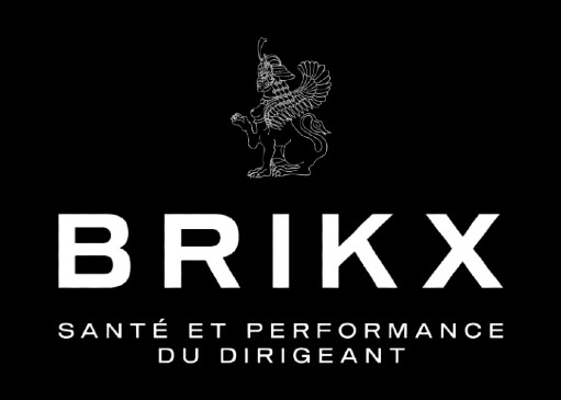 Reboost Yourself with Brikx